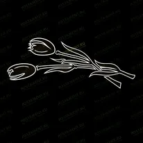 Тюльпаны 91139