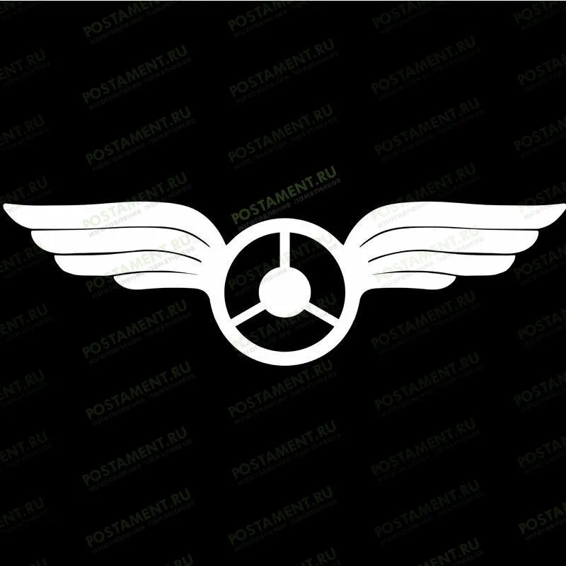 Символ на памятник летчику 91501