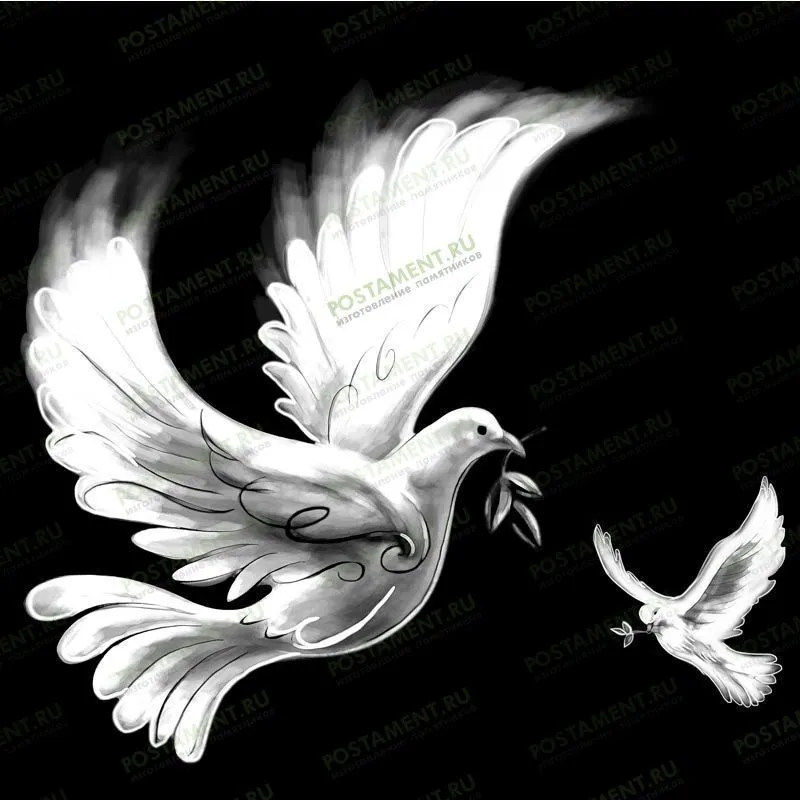 Голубь с веточкой гравировка на памятник 91115