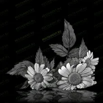 Ромашки 91051