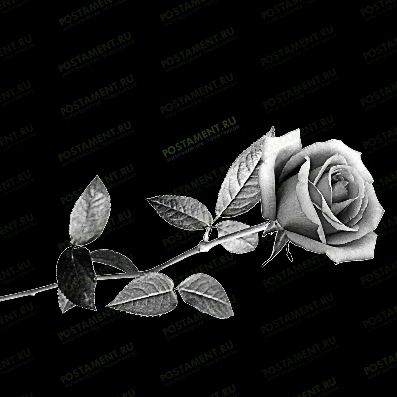 Гравировка красивой розы на стеле памятника 91005