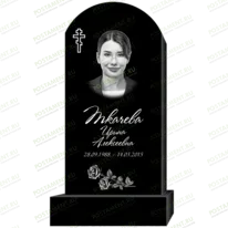 Рисунок 95309