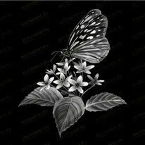 Бабочка 91109