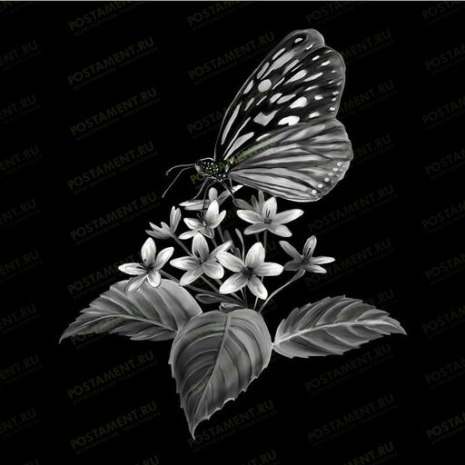 Бабочка на цветке картинка на памятник 91109