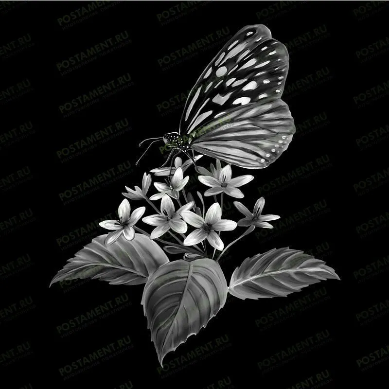 Бабочка на цветке картинка на памятник 91109