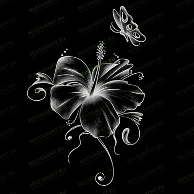 Бабочка у цветка на памятник 91125