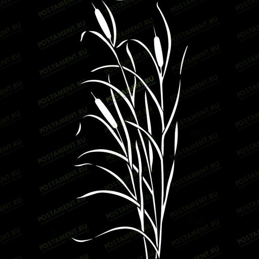 Рисунок камыша для оформления надгробного памятника