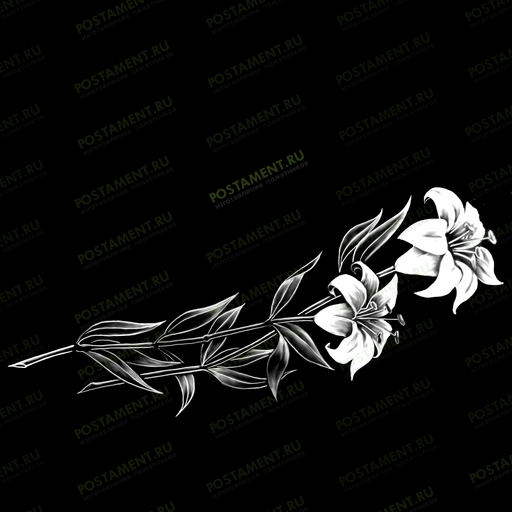 Две лилии на памятник 91034