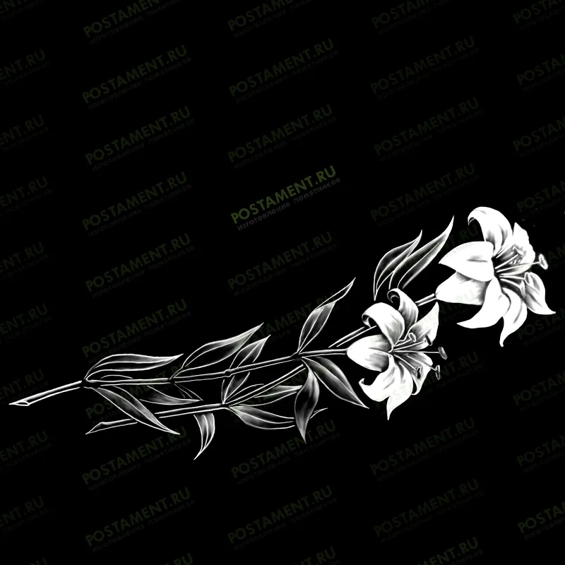 Две лилии на памятник 91034