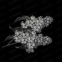 Ветка сирени 91041