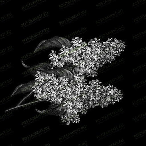 Ветка сирени для гравировки на памятнике 91041