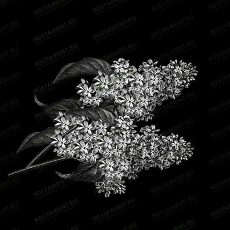 Ветка сирени для гравировки на памятнике 91041