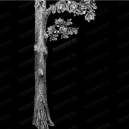 Ствол дуба для гравировки на памятник из гранита