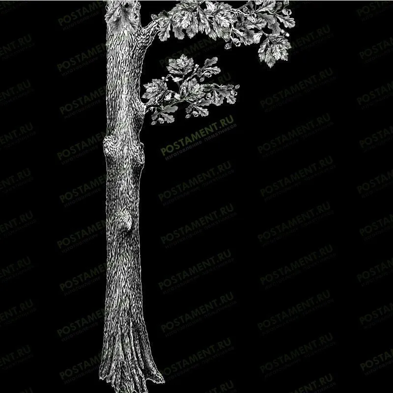 Ствол дуба для гравировки на памятник из гранита