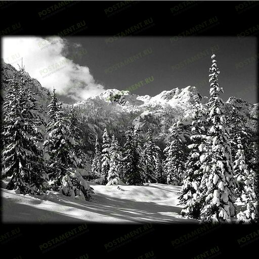 Пейзаж зимнего леса на памятник 99011