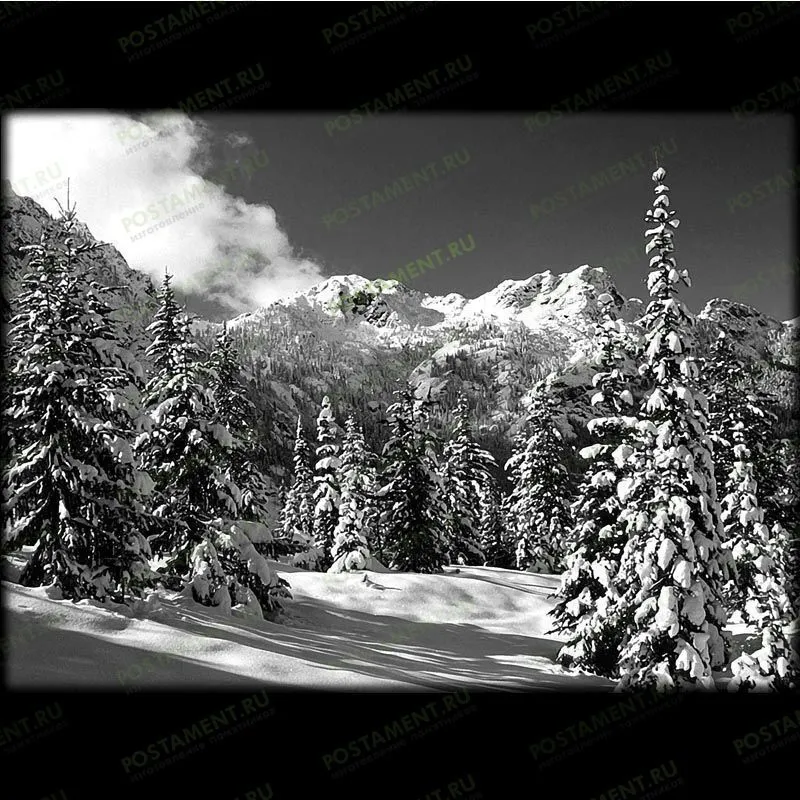 Пейзаж зимнего леса на памятник 99011