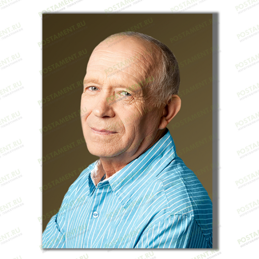 Временный портрет на надгробие 91896