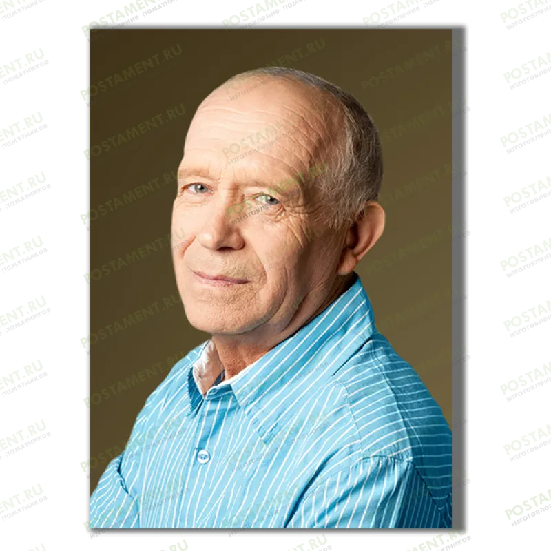 Временный портрет на надгробие 91896