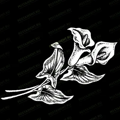 Каллы для гравировки на памятник 91039