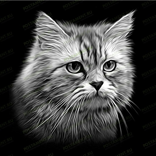 Изображение кота на памятник 92133