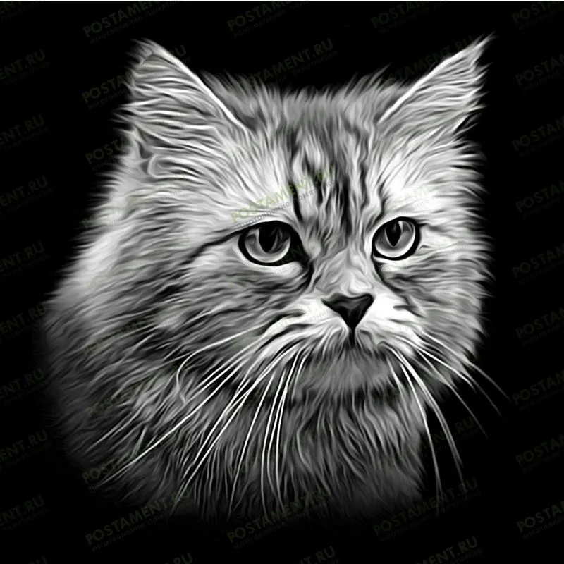 Изображение кота на памятник 92133