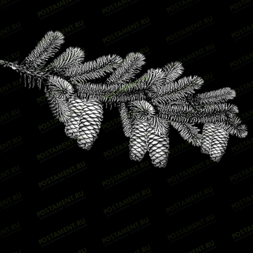 веточка еловая с шишками для гравировки на памятник