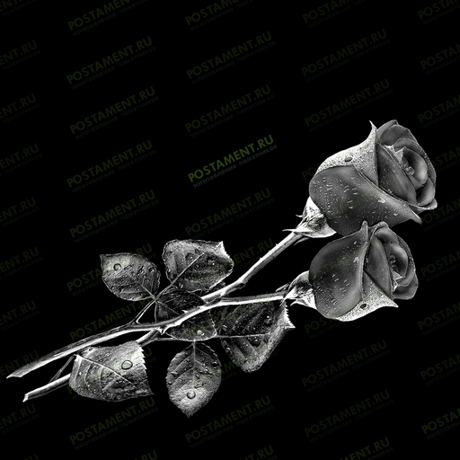 Две розы на надгробный памятник 91014