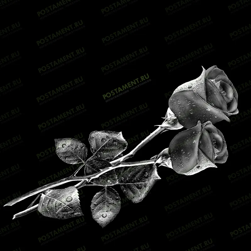 Две розы на надгробный памятник 91014