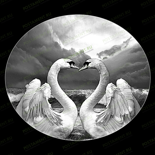 два белых лебедя оформление на памятник 91151
