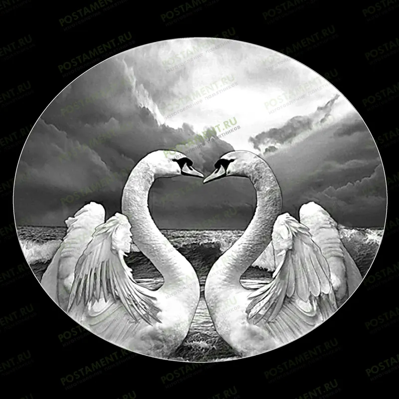 два белых лебедя оформление на памятник 91151