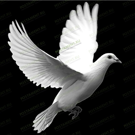 Гравировка на надгробном памятнике голубь летящий 91113