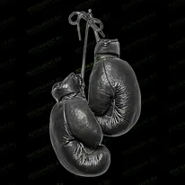 Боксерские перчатки 91655