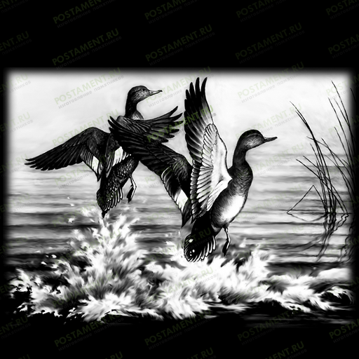  оформление на памятник утки