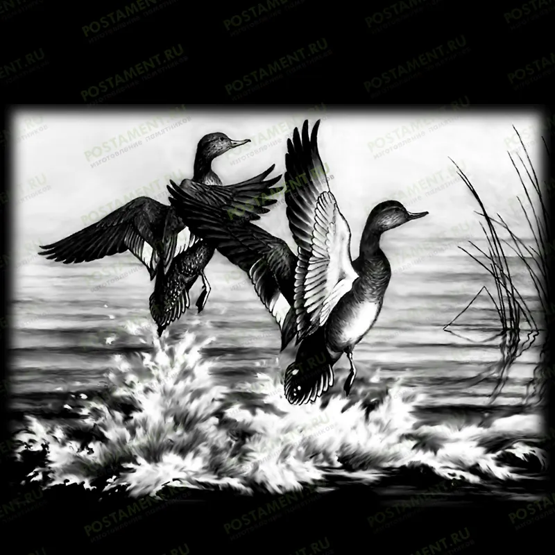  оформление на памятник утки