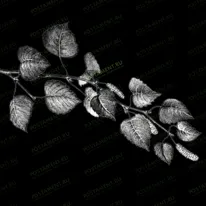 Веточка березовая 95005