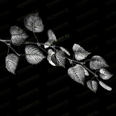 Веточка березы для украшения памятника