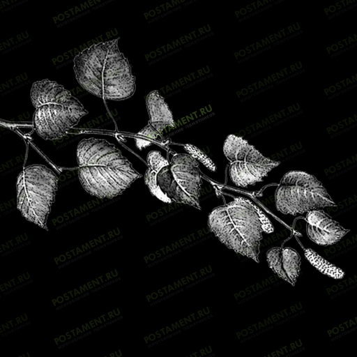 Веточка березы для украшения памятника