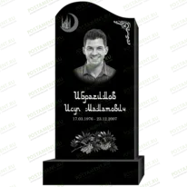 Рисунок 95313