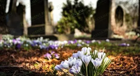 Красная Горка 2025: что за дата и можно ли посещать кладбище в этот день?