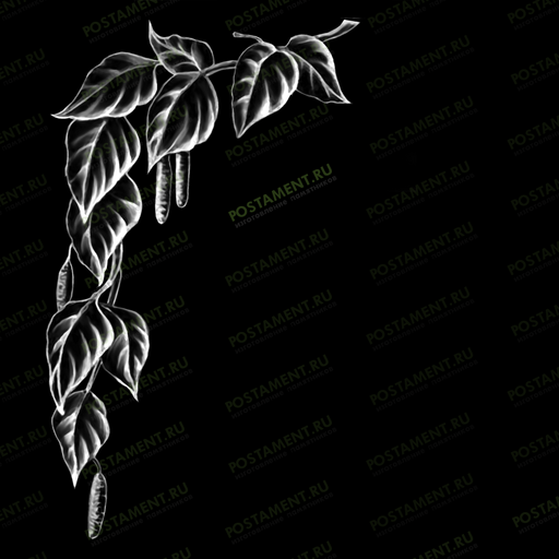 березовая ветка оформление памятника