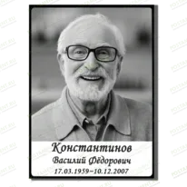 Металлофото на памятник 91877