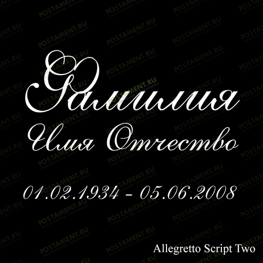 шрифт ФИО 91435