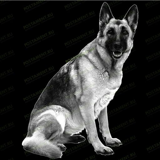 Оформление памятника кинологу