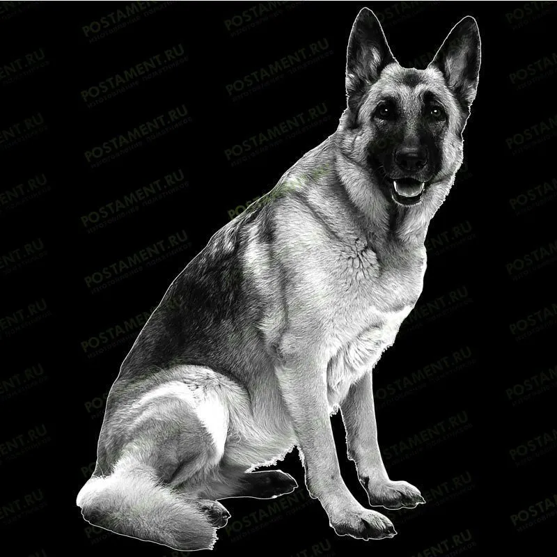 Оформление памятника кинологу