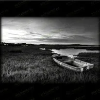 Лодка в камышаз 99003