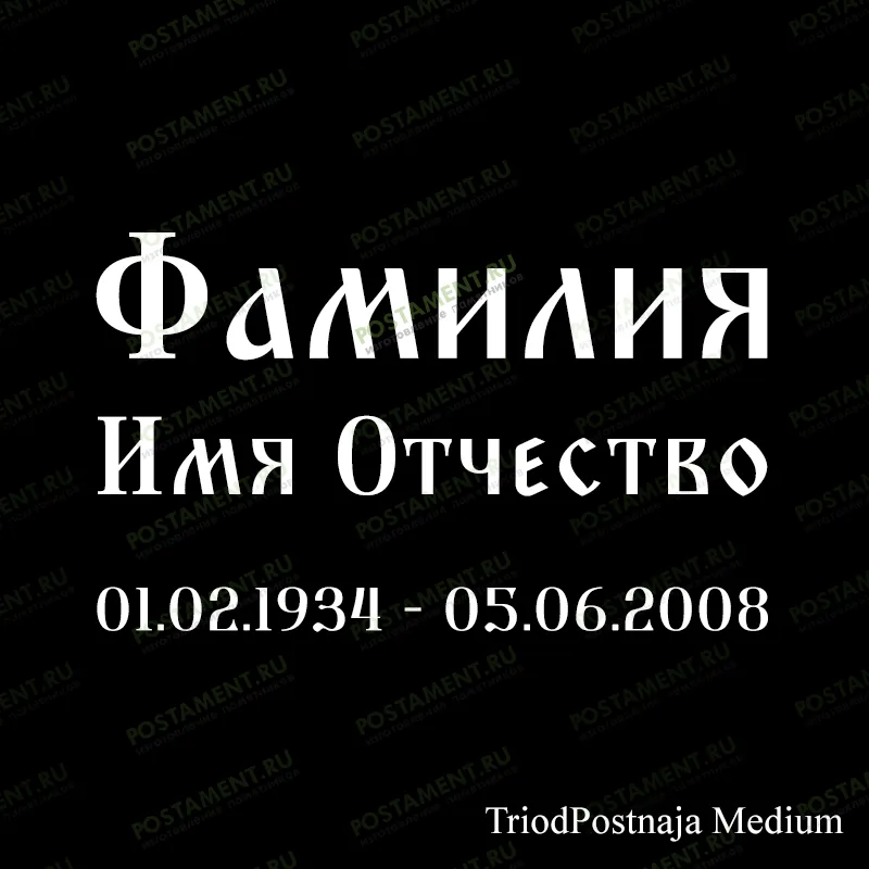 памятник ФИО 91429