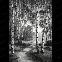 Пейзаж с березой 99020