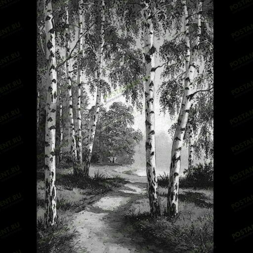 Пейзаж с березой для гравировки на памятник 99020