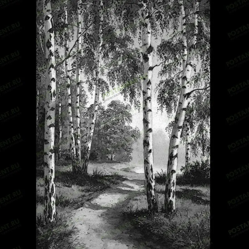 Пейзаж с березой для гравировки на памятник 99020