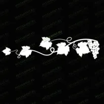 Виноградная лоза 95008